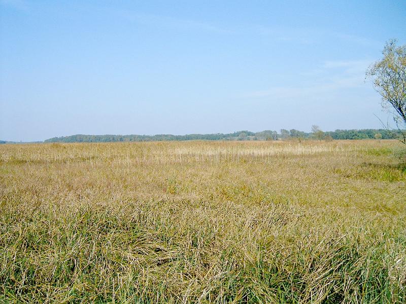 2010.10.09. 105.jpg